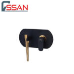 شیر توالت توکار ایکاد تنسو مشکی طلا راسان